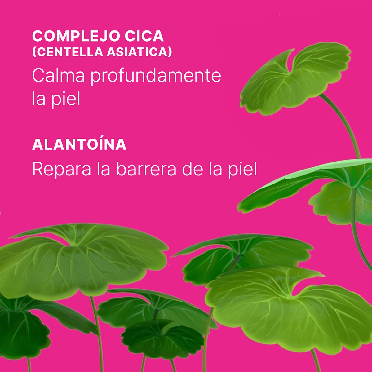 CICAPAIR™ INTENSIVE SOOTHING REPAIR SERUM (SUERO FACIAL DE TEXTURA LIGERA)
